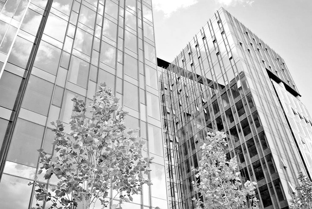 Modern business office building exterior. Black and white - Photo, Image