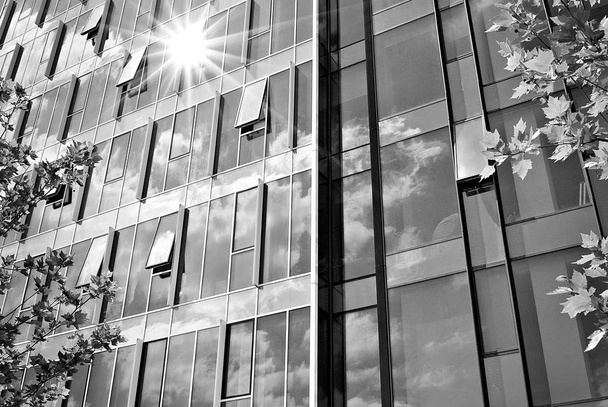 Moderno edificio de oficinas de negocios exterior. Blanco y negro
 - Foto, Imagen