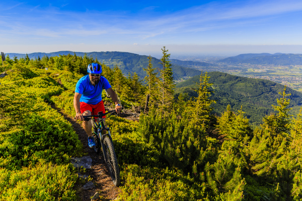 Yaz dağlar orman landsca içinde Bisiklete binmek üzerinde Mountainbiker - Fotoğraf, Görsel