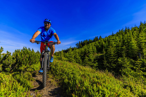 Yaz dağlar orman landsca içinde Bisiklete binmek üzerinde Mountainbiker - Fotoğraf, Görsel
