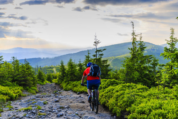 VTT à vélo en été montagnes forêt landsca
 - Photo, image