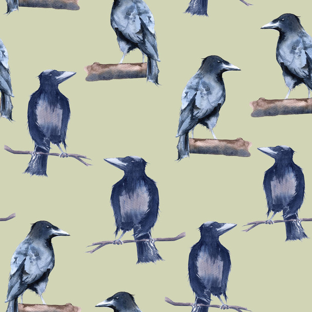 Black Raven Background. Seamless pattern.  - Photo, Image