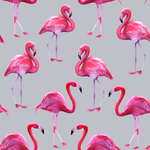 Tło z różowe flamingi. Wzór.  - Zdjęcie, obraz
