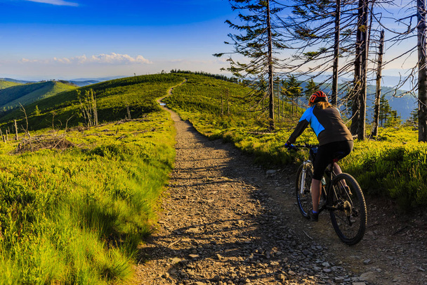 Hegyi kerékpározás nők lovaglás kerékpár nyári hegyek erdő  - Fotó, kép