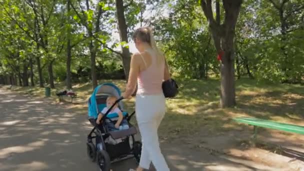 Steadicam tiro de jovem mãe empurrando carrinho do bebê no parque
 - Filmagem, Vídeo