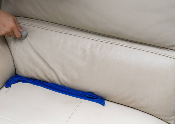 cleaning leather sofa at home with sponge and towel - 写真・画像