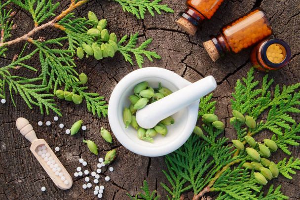 Bottles of homeopathic globules, Thuja occidentalis drugs and mortar. Homeopathy medicine. Top view. - Fotoğraf, Görsel