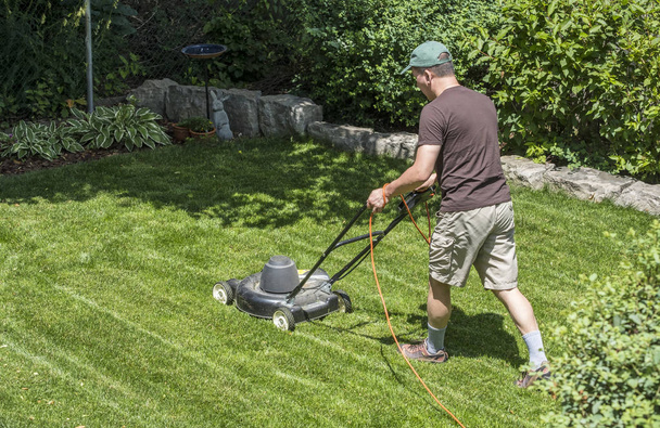 電動芝刈りと芝生を刈る男 - 写真・画像