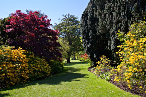 dicsőséges angol kert - Fotó, kép