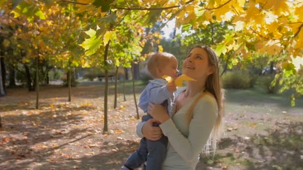 Αργή κίνηση μήκος σε πόδηα closeup μαμά και το μωρό γιος βλέπουν το δέντρο στο πάρκο φθινόπωρο - Πλάνα, βίντεο