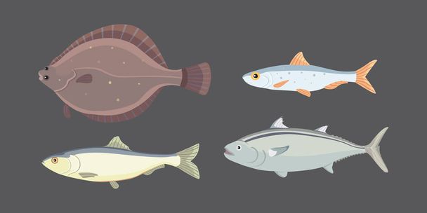 Isolated river fish. Set of freshwater sea cartoon fishes. Fauna ocean vector illustration - Вектор, зображення