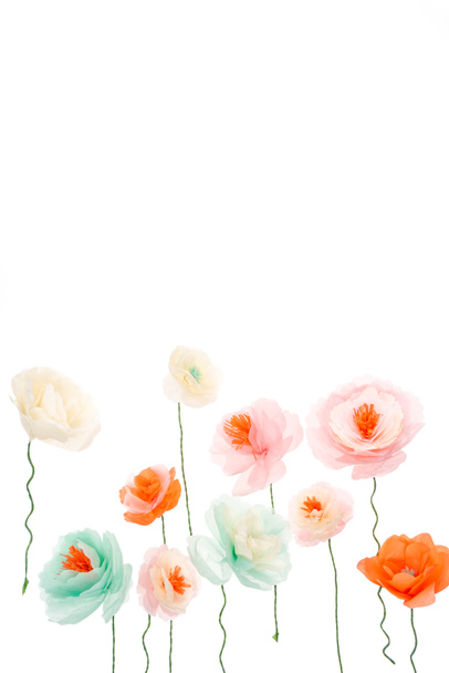 colorful decorative flowers - Photo, Image