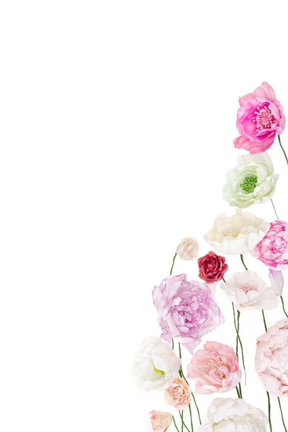 красочные пионские цветы
 - Фото, изображение