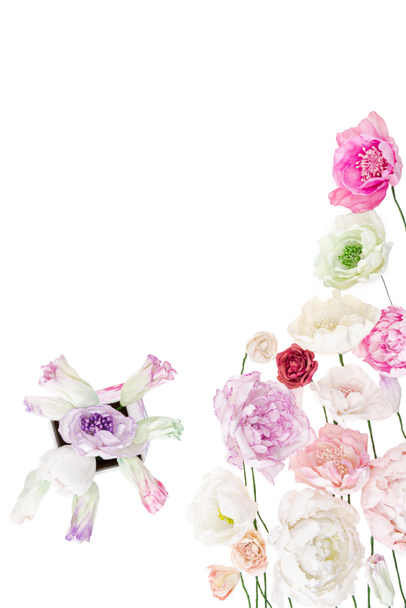 flores de peônia coloridas
 - Foto, Imagem