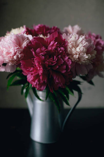 Pink peony flower on dark background - 写真・画像