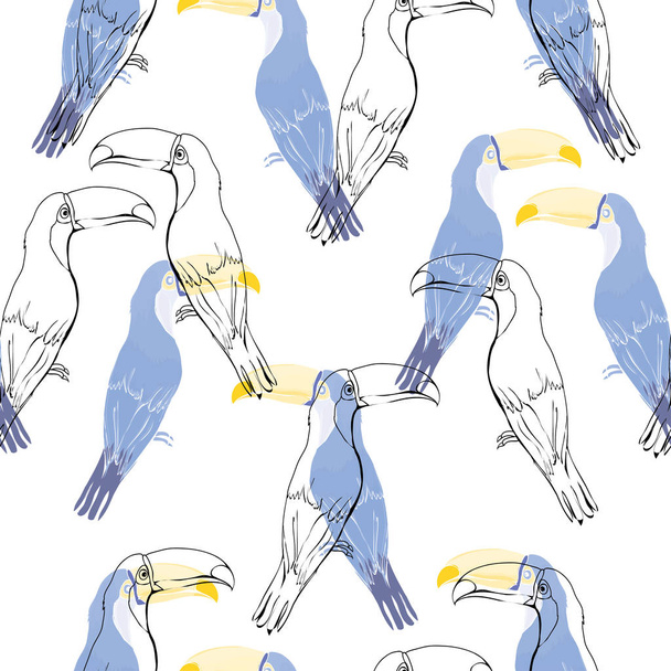 Toucan,bird, vector, illustration - Вектор,изображение