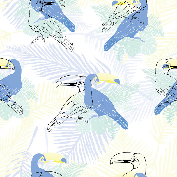 Toucan,bird, vector, illustration - Вектор, зображення
