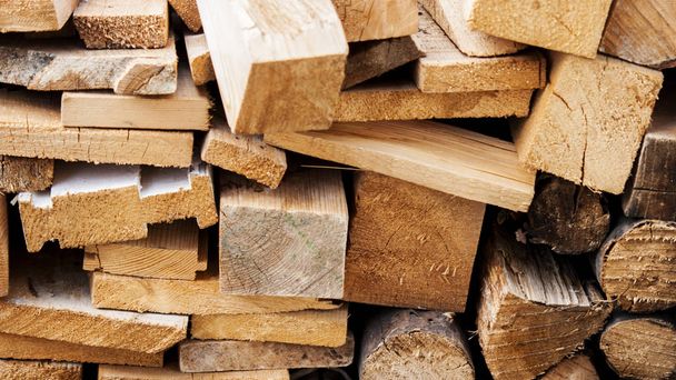 Textura de madeira fundo tem muitos logs que cortam de árvore grande e árvore pequena
 - Foto, Imagem