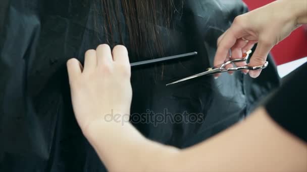 Primer plano del proceso de corte de puntas abiertas del cabello en un salón de belleza
 - Metraje, vídeo