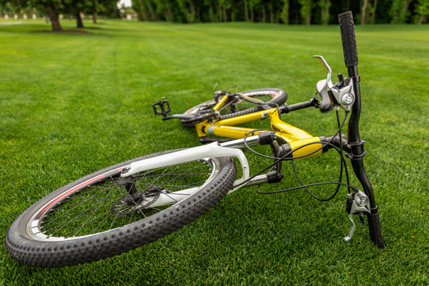 bicicleta deportiva sobre hierba
  - Foto, Imagen