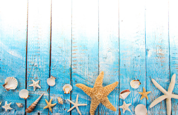 Summer traveling time. Sea holiday background with various shells. - Foto, Bild