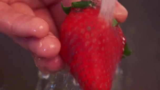 Een vrouw wast aardbeien achter elkaar onder een kraan - Video