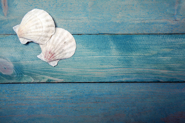 Two sea shells on wooden background - Foto, afbeelding