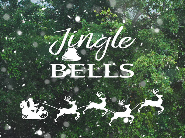 Snow fall in winter forest card. Jingle bells - Foto, immagini