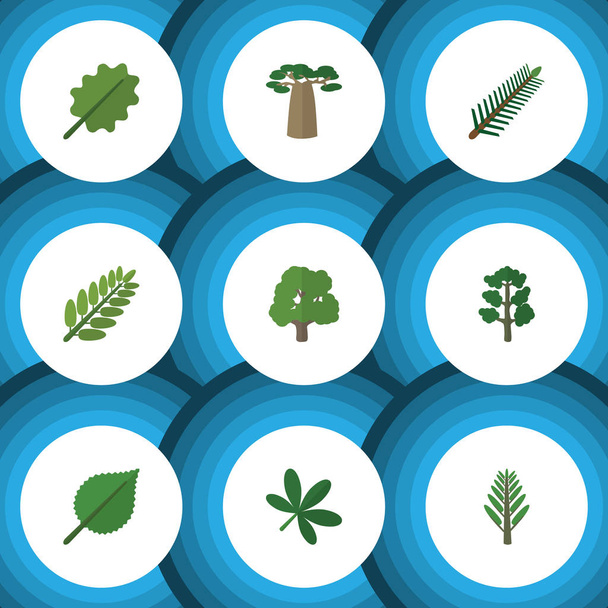 Flat Icon Bio Set Of Spruce Leaves, Forest, Decoration Tree And Other Vector Objects. Also Includes Acacia, Alder, Leaves Elements. - Vektori, kuva