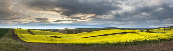 Panorama del paisaje ondulado nublado de Moravia
  - Foto, imagen