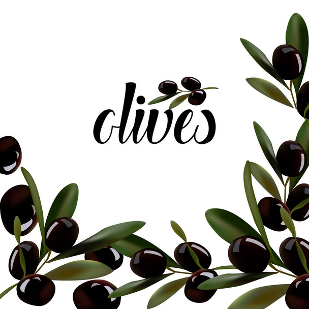 Contexte des brins d'olives
. - Vecteur, image