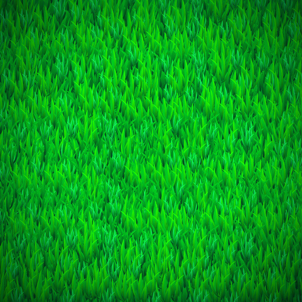 Realistic green grass background. Vector illustration - Vector, Image