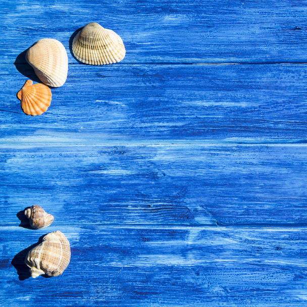 Sea and vacation concept with seashells - Foto, Bild