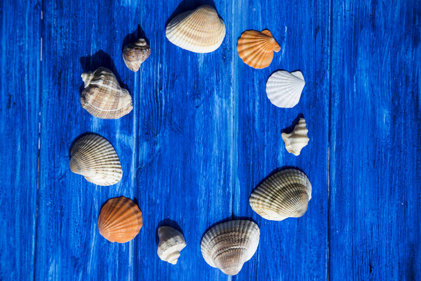 Deniz kabuklarını deniz ve tatil konseptiyle - Fotoğraf, Görsel