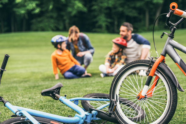 família com bicicletas no parque
 - Foto, Imagem