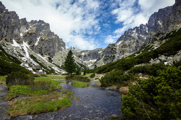 Vista de las montañas Tatra
 - Foto, imagen