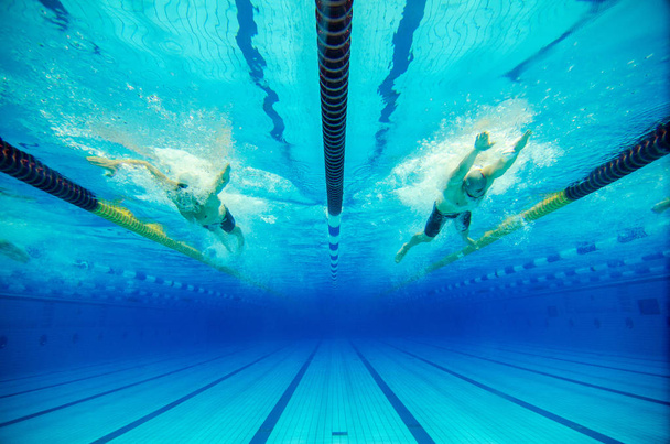 swimming competition in a pool - Foto, Imagem
