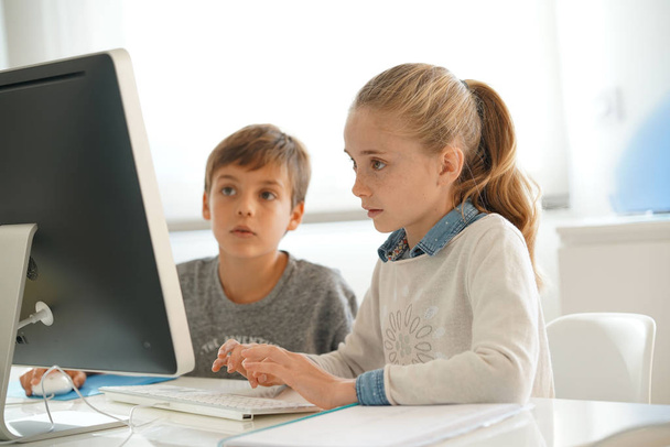 Kids in computer lab working  - Photo, image