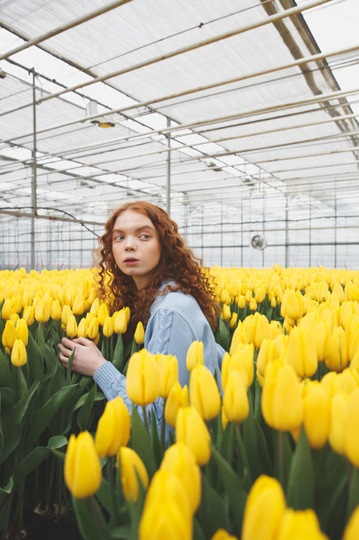 Shot of young girl standing in large greenhouse - Fotografie, Obrázek
