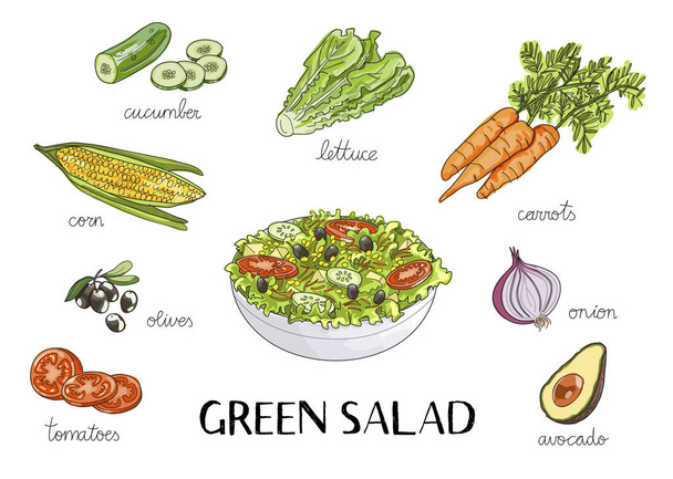vector hand drawn illustration with green salad ingredients - Вектор,изображение