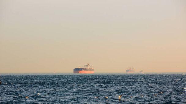 Large cargo container ship passing through Bosphorus, Istanbul, Turkey. - Фото, зображення