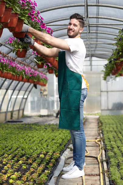 happy male nursery worker trimming plants in greenhouse - Photo, Image