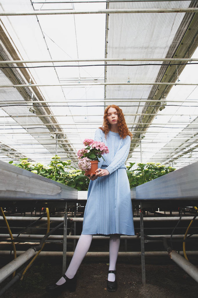 Full-length shot of girl with plant - Fotografie, Obrázek