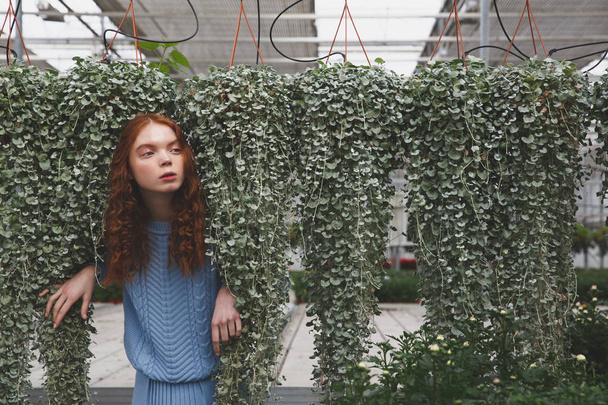 Girl hiding behind green plants - Foto, Imagen