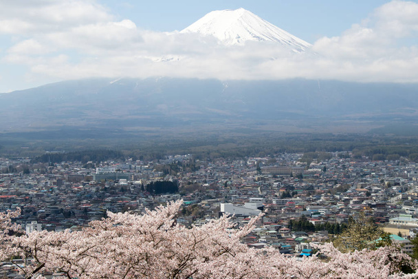 Fuji montanha no japão como fundo com flor de sakura e cidade como primeiro plano
 - Foto, Imagem