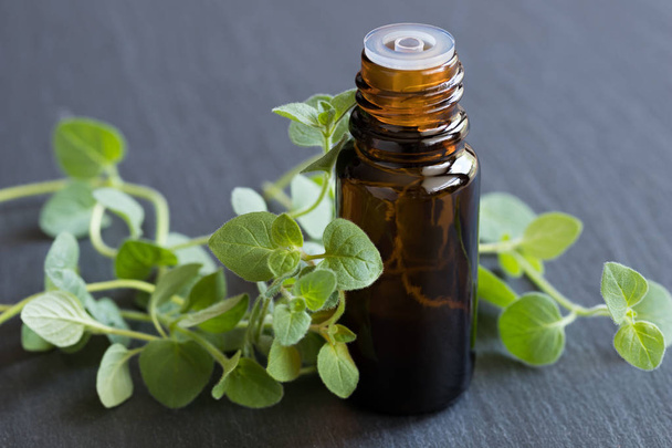 Uma garrafa de óleo essencial de orégano com folhas de orégano fresco
 - Foto, Imagem