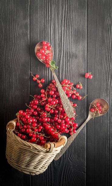 red currant berry on black wood boards - Photo, image