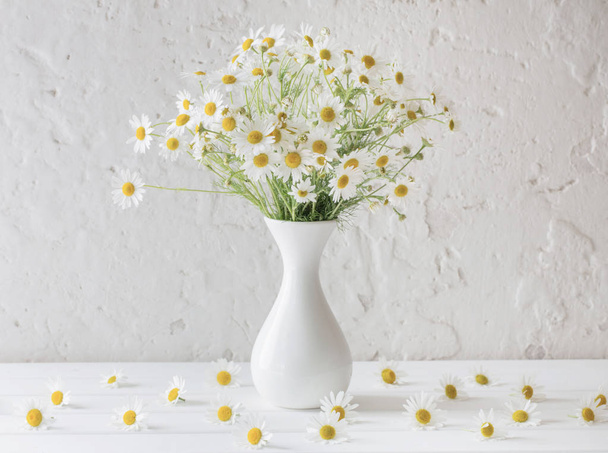chamomile in vase on white background - 写真・画像