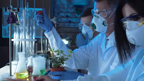Άτομα που στάζει χημικό στο φυτό - Πλάνα, βίντεο