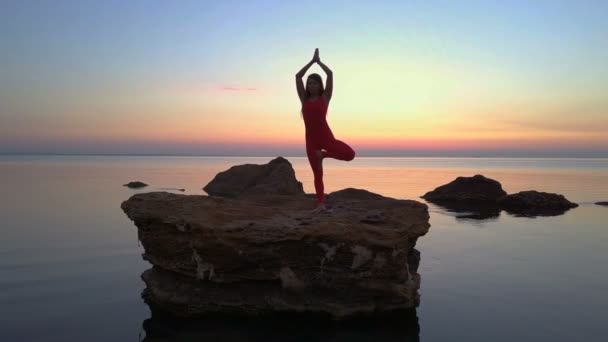 Mladá dívka silueta udělat jóga Vrikshasana představuje na letecké záběry hukot moře - Záběry, video